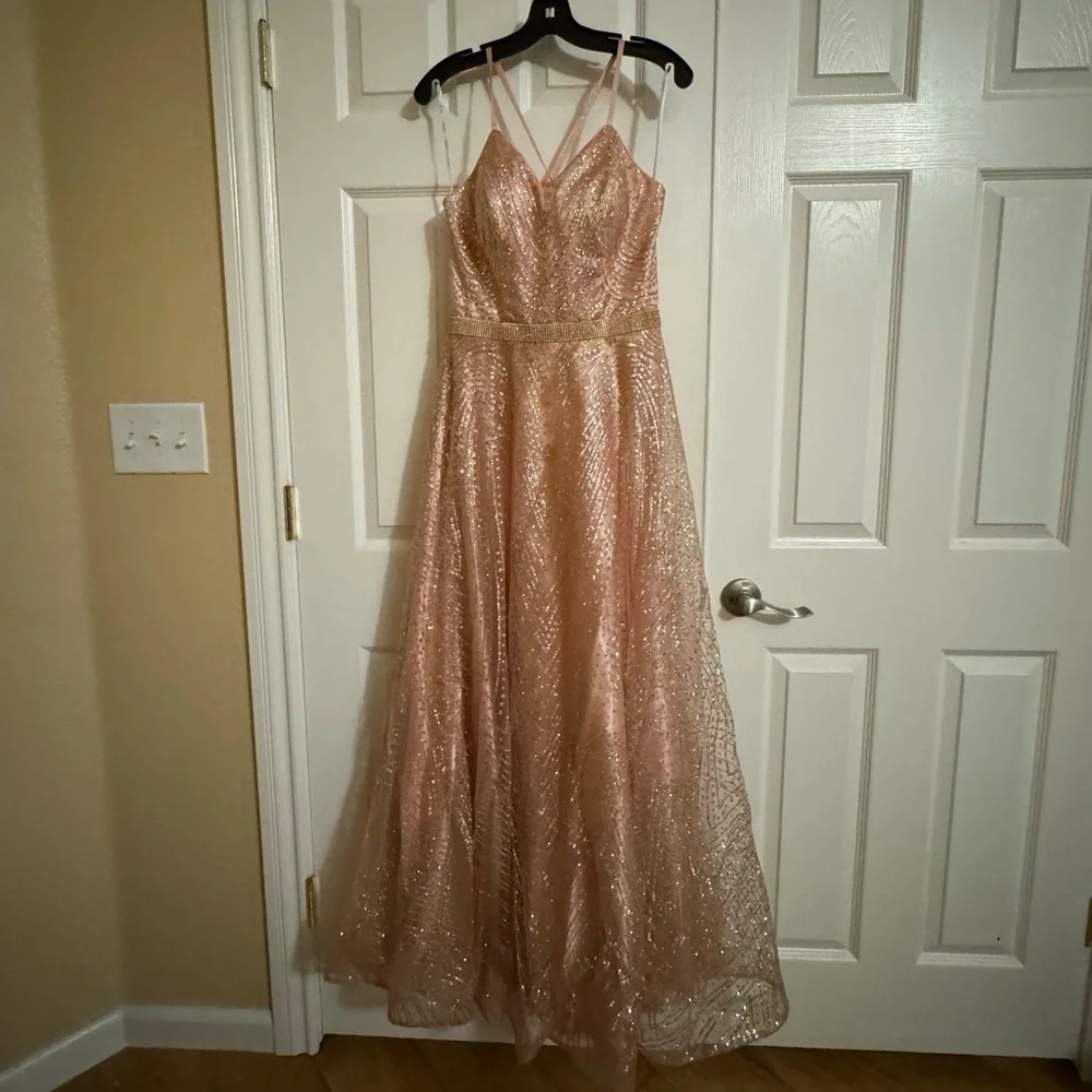 Pink Gown - Picture 2 of 11
